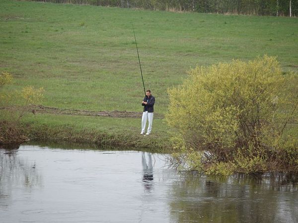 Изображение Река Дубна. Фото: Андрей Яншевский.