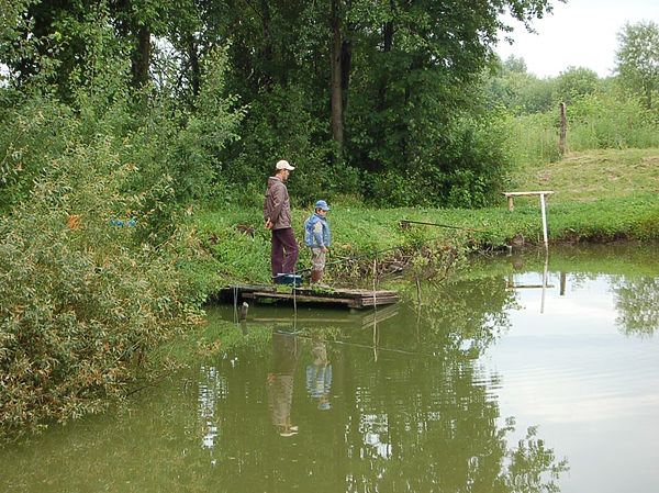 Изображение Пруд в Константиново. Фото: Елена Егорова.