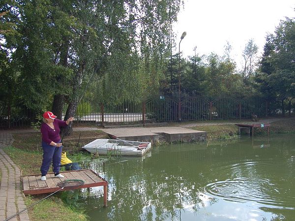 Изображение Пруд Липки. Фото: Андрей Жигалов.