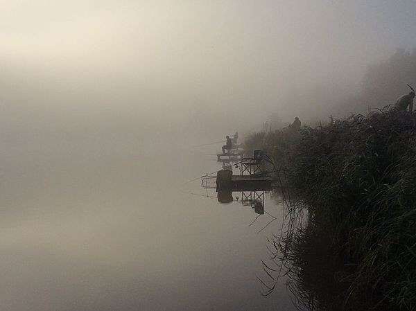 Изображение Хозяйство Фишка. Фото: Андрей Уткин.