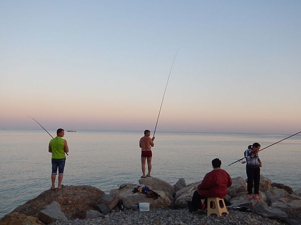 Изображение Черное море в Сочи. Фото: Алексей Трембицкий.