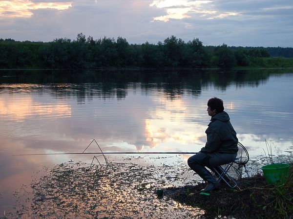 Изображение Река Молога. Фото: Андрей Яншевский.