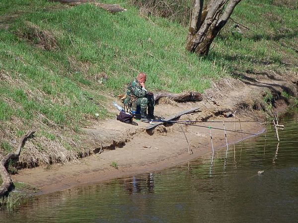Изображение Река Дубна. Фото: Елена Егорова.