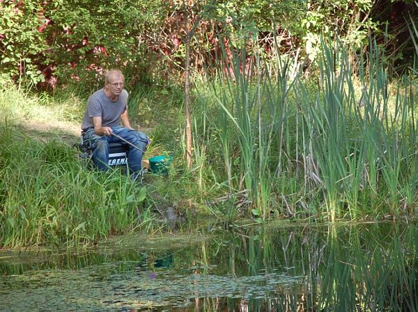 Изображение Пожарный пруд. Фото: Елена Егорова.