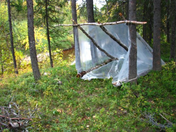 Палатка из полиэтиленовой пленки