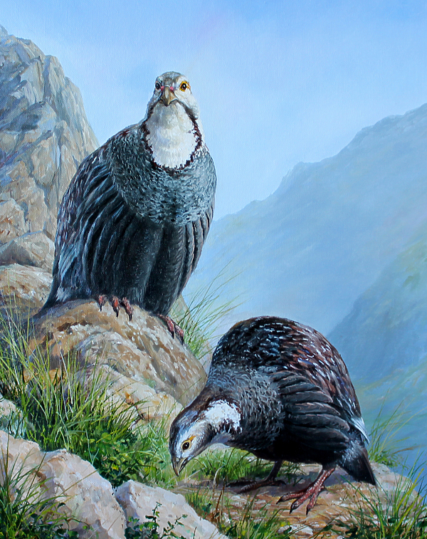 Изображение Обложка журнала &quot;Охота и рыбалка XXI век&quot;. Художник: Татьяна Данчурова