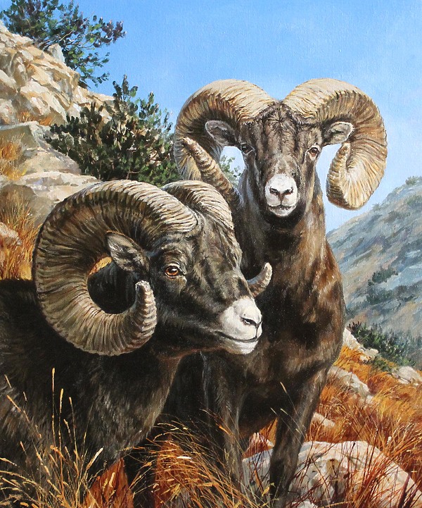 Изображение Обложка журнала &quot;Охота и рыбалка XXI век&quot;. Художник: Татьяна Данчурова