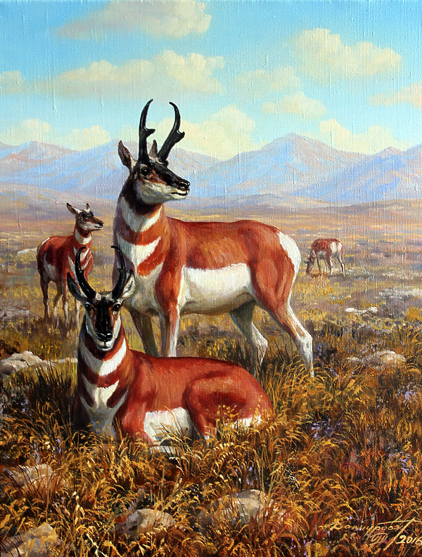 Изображение Обложка журнала &quot;Охота и рыбалка XXI век&quot;. Художник: Татьяна Данчурова