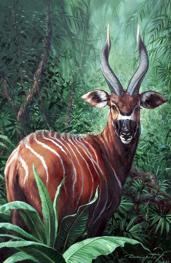 Изображение Обложка журнала &quot;Охота и рыбалка XXI век&quot;. Художник: Татьяна Данчурова