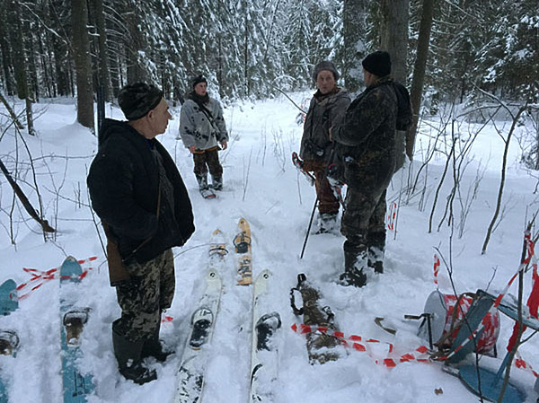 Изображение фото: Туркина Дмитрия