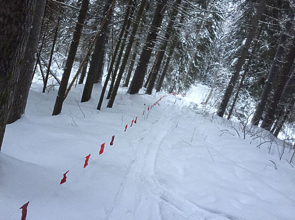 Изображение фото: Туркина Дмитрия