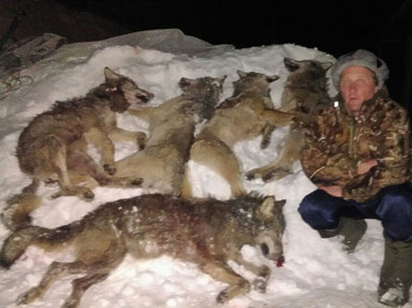 Изображение фото: Туркина Дмитрия