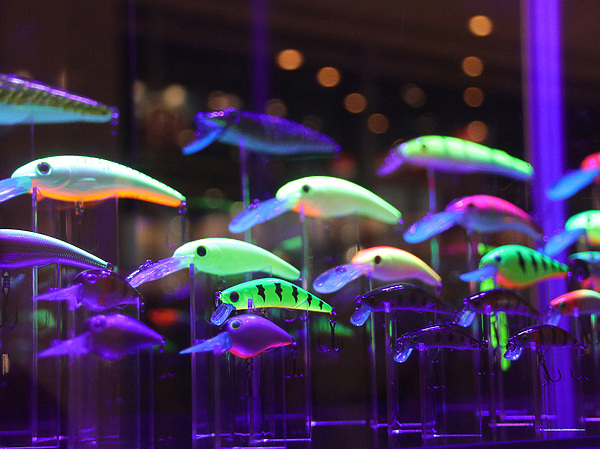 Изображение фото: Журавкова Антона