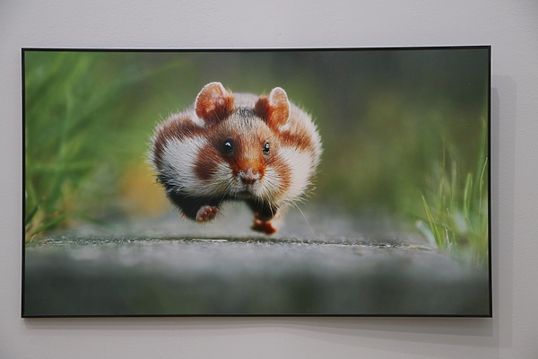 Изображение фото: Антона Журавкова