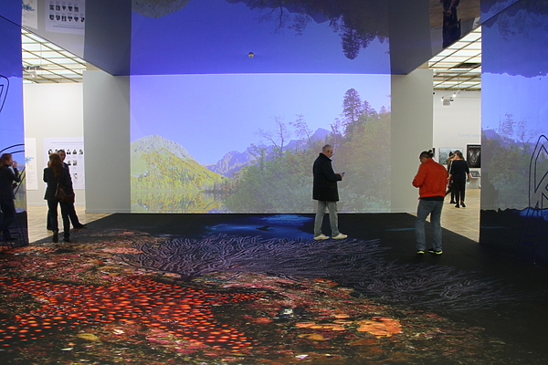 Изображение фото: Антона Журавкова