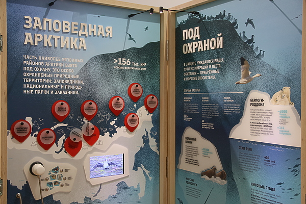 Изображение фото: Антона Журавкова