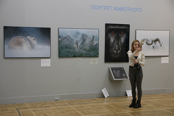 Изображение фото: Антона Журавкова