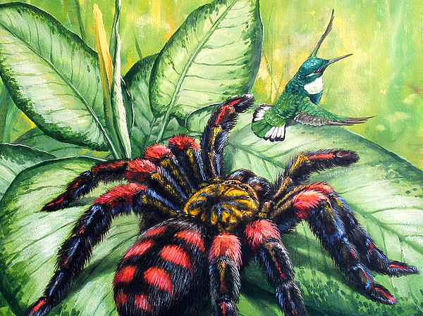 Изображение Обложка журнала &quot;Охота и рыбалка XXI век&quot;. Художник: Татьяна Данчурова