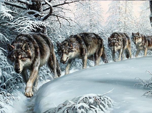 Изображение Обложка журнала &quot;Охота и рыбалка XXI век&quot;. Художник: Татьяна Данчурова