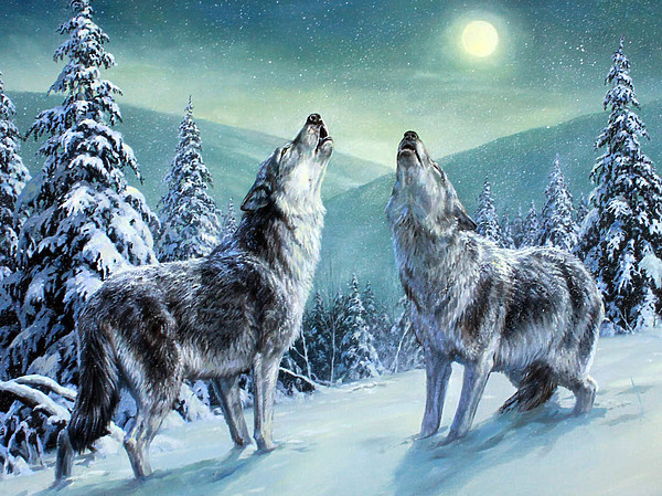 Изображение Обложка журнала &quot;Охота и рыбалка XXI век&quot;. Художник: Татьяна Данчурова