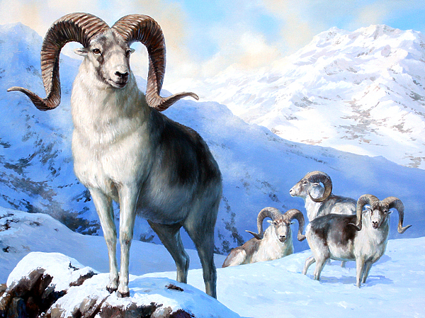 Изображение Обложка журнала &quot;Охота и рыбалка XXI век&quot;. Художник: Татьяна Данчурова