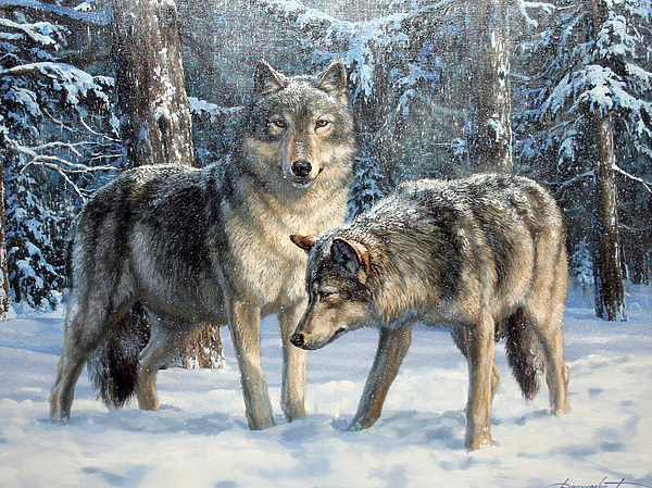 Изображение Обложка журнала &quot;Охота и рыбалка XXI век&quot;. Художник: Татьяна Данчурова