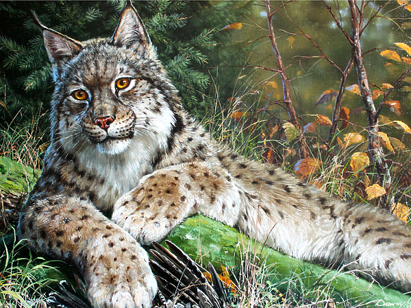 Изображение Обложка журнала &quot;Охота и рыбалка XXI век&quot;. Художник: Татьяна Данчурова