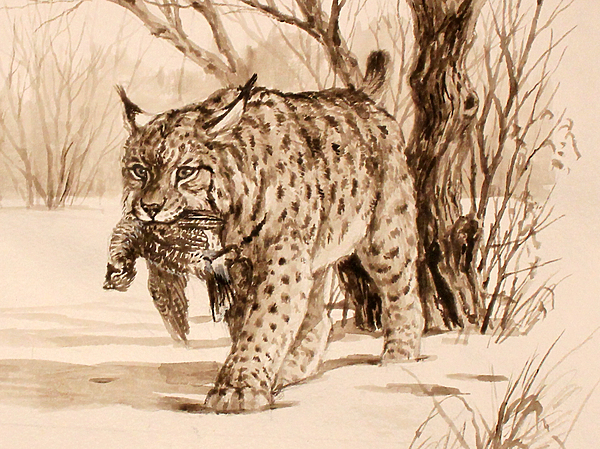 Изображение Обложка журнала &quot;Охота и рыбалка XXI век&quot;. Художник: Татьяна Данчурова