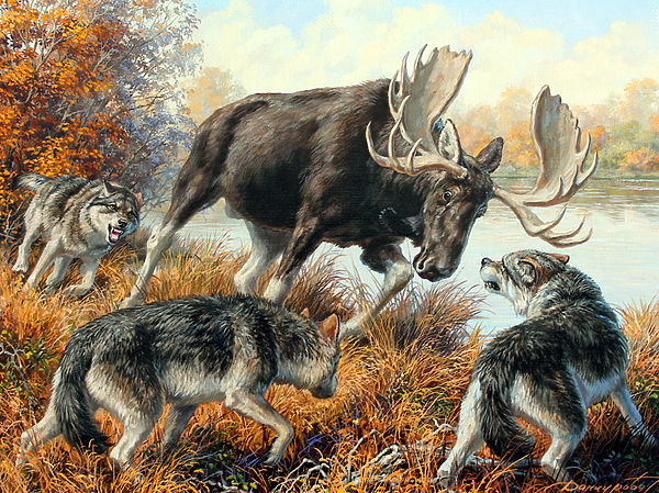 Изображение Обложка журнала &quot;Охота и рыбалка XXI век&quot;. Художник: Татьяна Данчурова