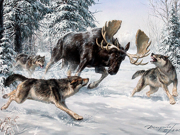 Изображение Обложка журнала &quot;Охота и рыбалка XXI век&quot;. Художник: Татьяна Данчурова