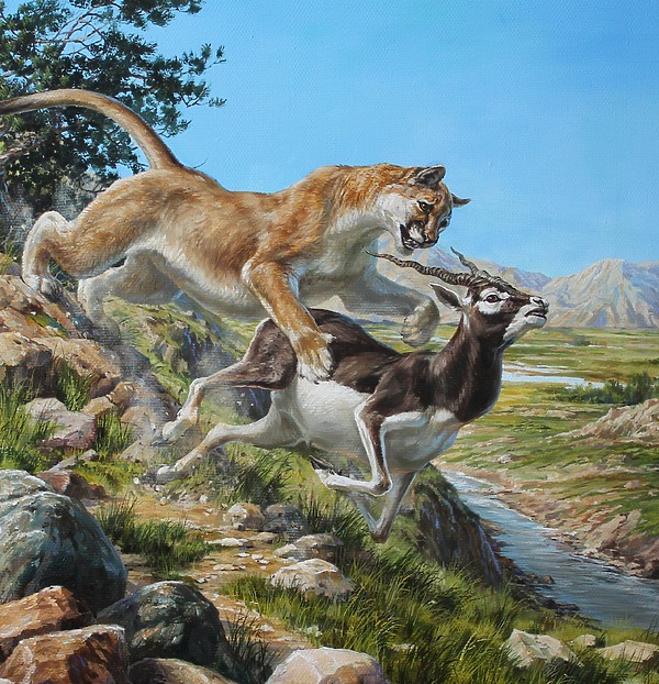 Изображение Обложка журнала &quot;Охота и рыбалка XXI век&quot;. Художник: Татьяна Данчурова