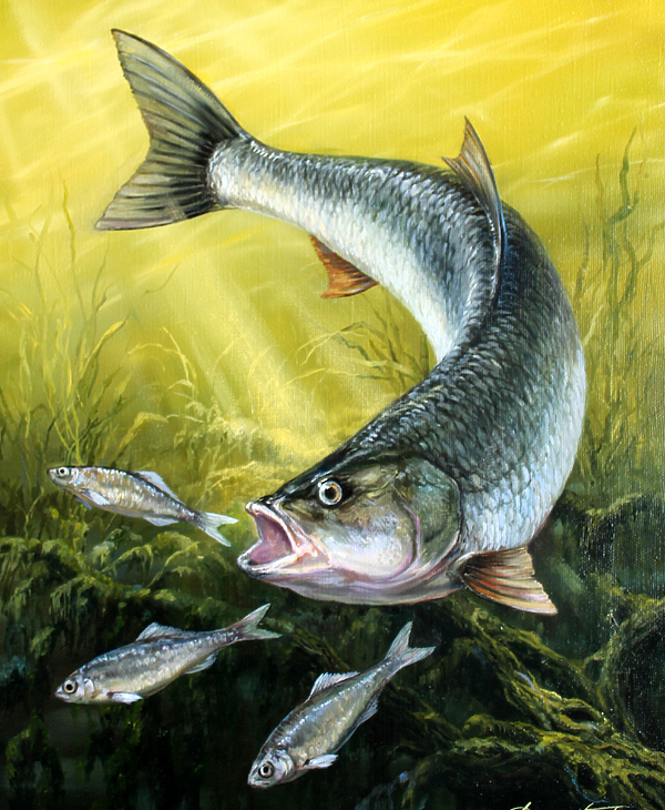 Изображение Обложка журнала &quot;Охота и рыбалка XXI век&quot;. Художник: Татьяна Данчурова