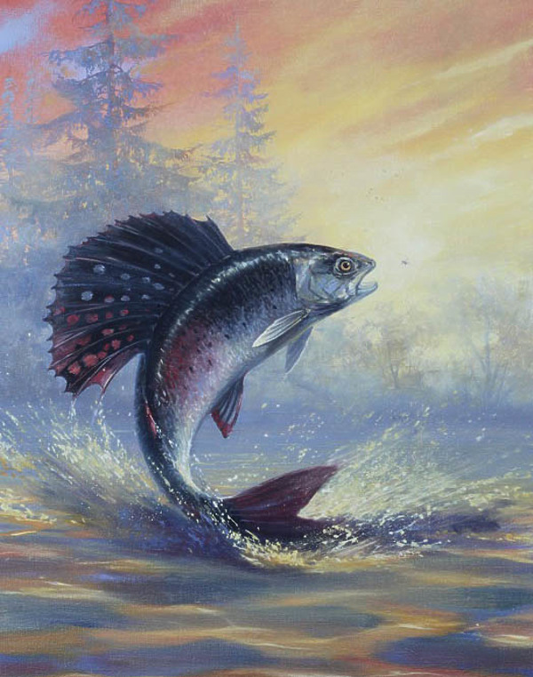 Изображение Обложка журнала &quot;Охота и рыбалка XXI век&quot;. Художник: Татьяна Данчурова