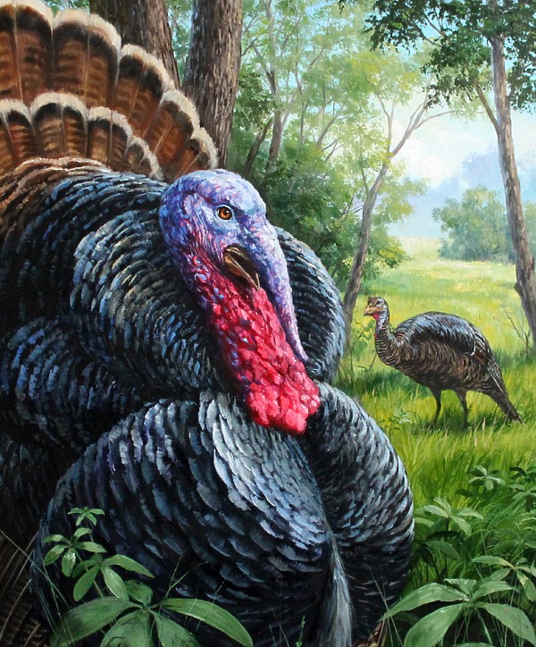 Изображение Обложка журнала &quot;Охота и рыбалка XXI век&quot;. Художник: Татьяна Данчурова