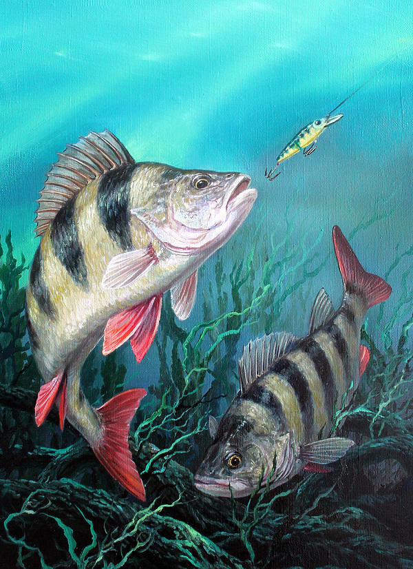 Изображение Обложка журнала &quot;Охота и рыбалка XXI век&quot;. Художник: Татьяна Данчурова