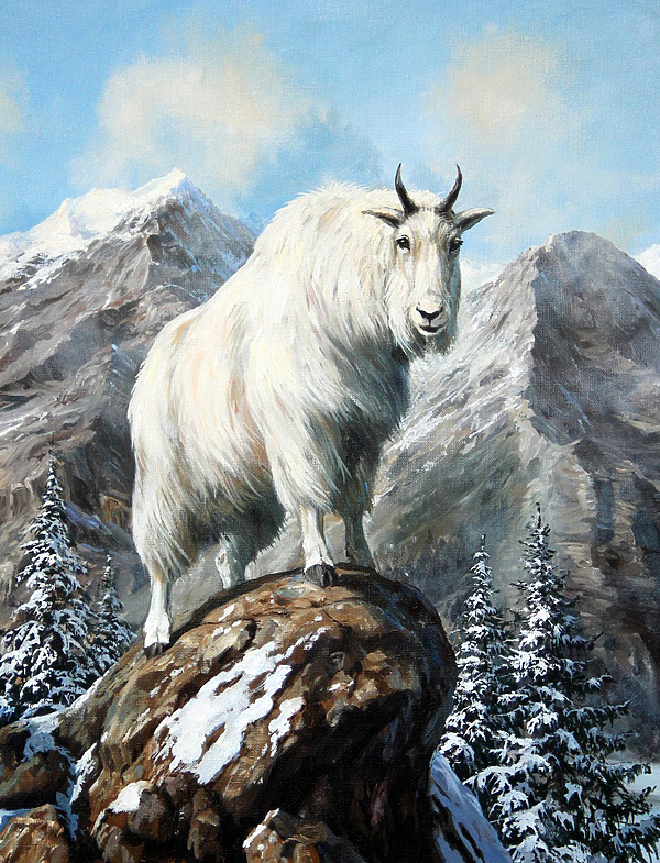 Изображение Обложка журнала &quot;Охота и рыбалка XXI век&quot;. Художник: Татьяна Данчурова