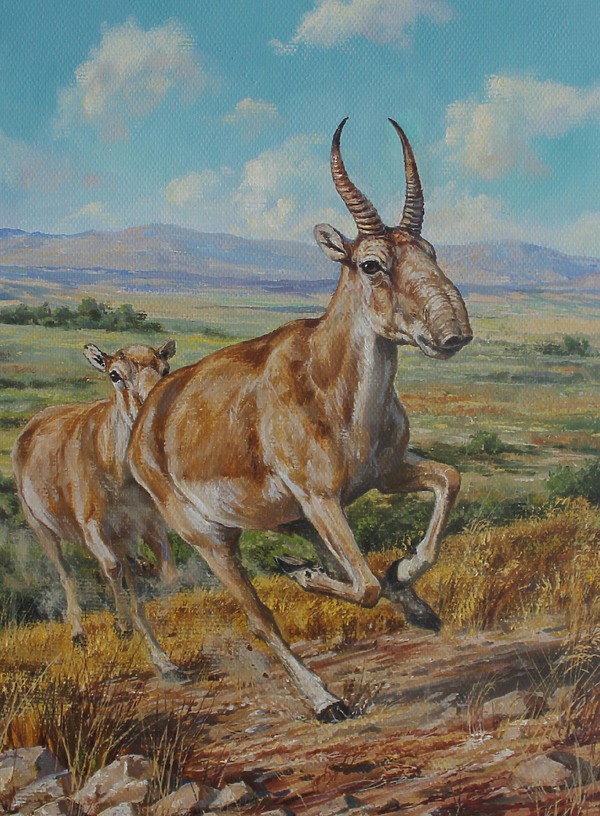 Изображение Обложка журнала &quot;Охота и рыбалка XXI век&quot;. Художник: Татьяна Данчурова