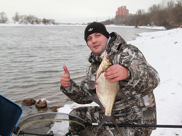 Изображение Зимний фидер. Фото: Владимир Косенков.