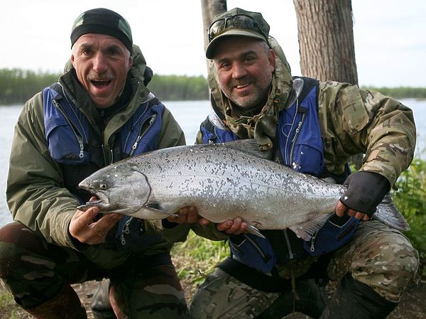 Изображение &quot;Лосось&quot;. Фото: Евгений Кузнецов.