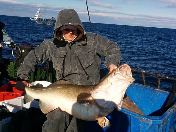 Изображение Настоящая треска. Фото: Геннадий Шеляг.