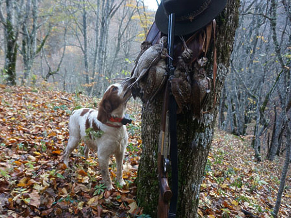 Изображение фото: Стусь Виктор 