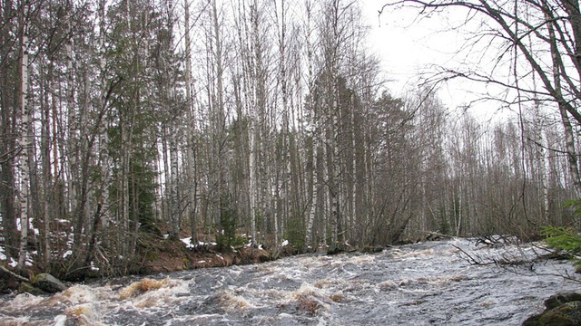 сплав по реке