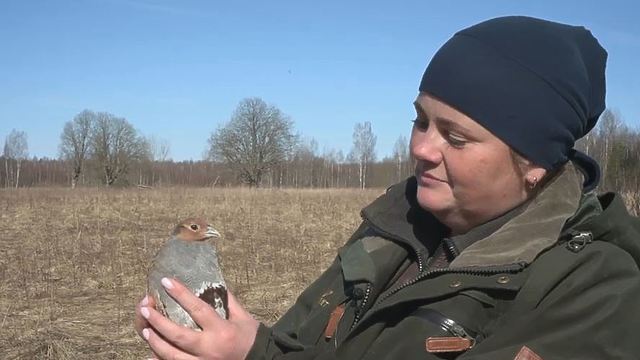 Фон плеера